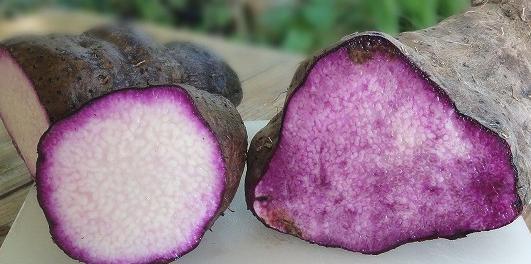 ブルーシールアイスの ウベ と 紅芋 味は同じ 違いとは あまたか生活ブログ