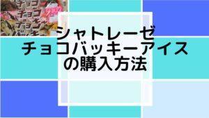 シャトレーゼ　チョコバッキー