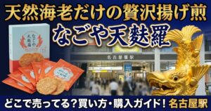 天然海老だけの贅沢揚げ煎「なごや天麩羅」　どこで売ってる？買い方・購入ガイド！名古屋駅